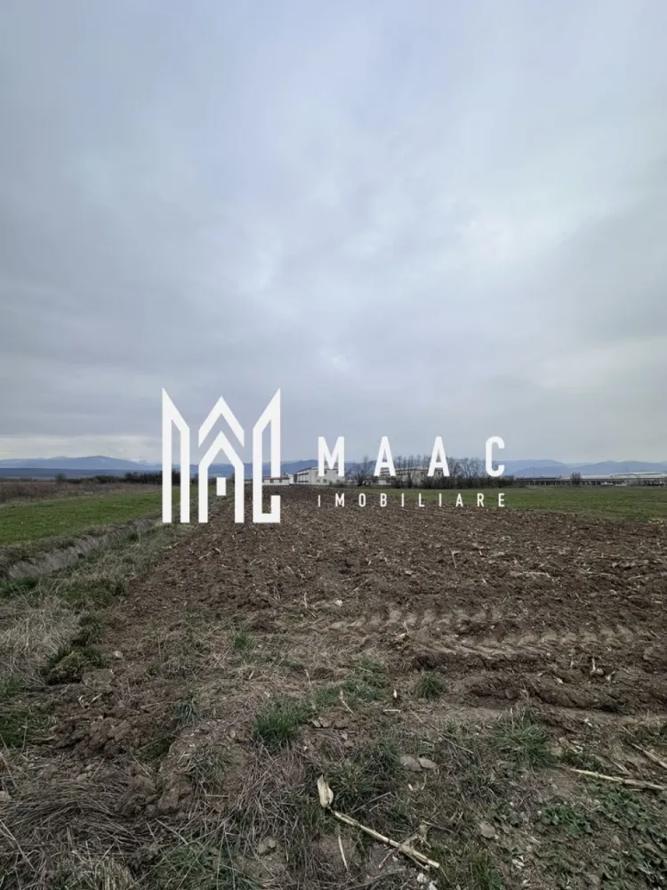 Teren intravilan | 1.530 mp |cu dublă deschidere la drum - MAAC Imobiliare vă propune la vânzare teren intravilan 1.530 mp – oportunitate investițională

Terenul este amplasat într-o zonă cu potențial ridicat de dezvoltare și beneficiază de două deschideri la drum, oferind acces facil și multiple posibilități de organizare sau parcelare.

Proprietatea dispune de utilități în zonă (apă, curent, gaz), facilitând demararea rapidă a oricărui proiect.

Datorită poziționării și caracteristicilor sale, terenul este ideal pentru activități industriale, servicii, depozitare, hale sau alte investiții comerciale.

Suprafață: 1.530 mp
Regim: intravilan
Dublă deschidere la drum
Utilități în apropiere
Destinație: industrial / servicii / depozite

Pentru mai multe detalii specificati ca ati vazut anuntul cu ID: CP2986840