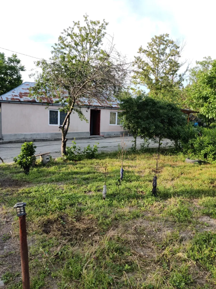 Descriere Super ofertă Doar luna iulie!!!  Casă 3 camere ,bucatarie + 1000 mp teren | Singureni Stejaru | 27 km de București Se vinde casă bătrâneasc - Descriere Super ofertă Doar luna iulie!!!&nbsp;Casă 3 camere ,bucatarie + 1000 mp teren | Singureni Stejaru | 27 km de BucureștiSe vinde casă bătrânească , situată în comuna Singureni, sat Stejaru, la doar 27 km de București ideală pentru locuit sau casă de vacanță.Teren: 1000 mpDeschidere: 25 mlDrum asfaltat în fața proprietății și acces auto în curteCompartimentare:3 camereHolBucătărieDuș cu boilerDotări și îmbunătățiri:Sobe de teracotă în toate camereleSobă cu plită în bucătărieAer condiționatGeamuri termopanApă + curent electric2 puțuri proprii (hidrofor + cișmea)Curtea:Grădină îngrijităFloriAproximativ 25 pomi fructiferiPosibilitate parcare în curteZonă liniștită, aer curat, ideală pentru familie sau pentru cei care vor să scape de aglomerația orașului.Pentru detalii și vizionare: direct proprietarPreț:49000 euro discutabil,toate actele in regula,cadastru intabulare.Pentru mai multe detalii in privat. 0765097197
