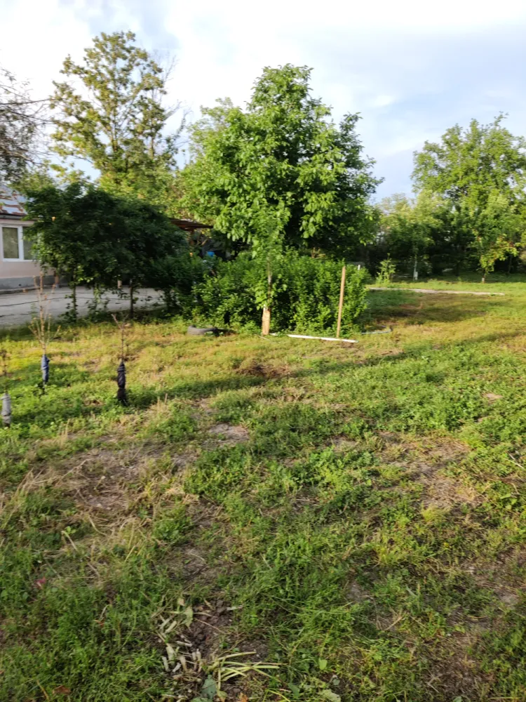 Descriere Super ofertă Doar luna iulie!!!  Casă 3 camere ,bucatarie + 1000 mp teren | Singureni Stejaru | 27 km de București Se vinde casă bătrâneasc - Descriere Super ofertă Doar luna iulie!!!&nbsp;Casă 3 camere ,bucatarie + 1000 mp teren | Singureni Stejaru | 27 km de BucureștiSe vinde casă bătrânească , situată în comuna Singureni, sat Stejaru, la doar 27 km de București ideală pentru locuit sau casă de vacanță.Teren: 1000 mpDeschidere: 25 mlDrum asfaltat în fața proprietății și acces auto în curteCompartimentare:3 camereHolBucătărieDuș cu boilerDotări și îmbunătățiri:Sobe de teracotă în toate camereleSobă cu plită în bucătărieAer condiționatGeamuri termopanApă + curent electric2 puțuri proprii (hidrofor + cișmea)Curtea:Grădină îngrijităFloriAproximativ 25 pomi fructiferiPosibilitate parcare în curteZonă liniștită, aer curat, ideală pentru familie sau pentru cei care vor să scape de aglomerația orașului.Pentru detalii și vizionare: direct proprietarPreț:49000 euro discutabil,toate actele in regula,cadastru intabulare.Pentru mai multe detalii in privat. 0765097197