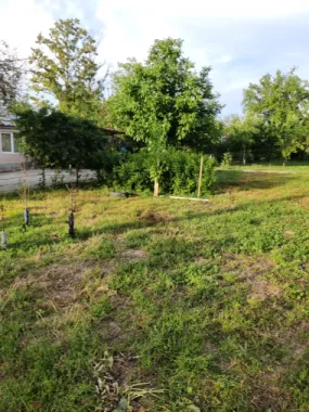 Descriere Super ofertă Doar luna iulie!!!  Casă 3 camere ,bucatarie + 1000 mp teren | Singureni Stejaru | 27 km de București Se vinde casă bătrâneasc