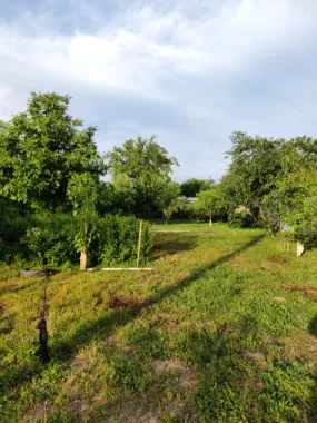 Descriere Super ofertă Doar luna iulie!!!  Casă 3 camere ,bucatarie + 1000 mp teren | Singureni Stejaru | 27 km de București Se vinde casă bătrâneasc