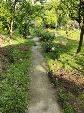 Descriere Super ofertă Doar luna iulie!!!  Casă 3 camere ,bucatarie + 1000 mp teren | Singureni Stejaru | 27 km de București Se vinde casă bătrâneasc