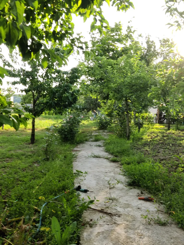 Descriere Super ofertă Doar luna iulie!!!  Casă 3 camere ,bucatarie + 1000 mp teren | Singureni Stejaru | 27 km de București Se vinde casă bătrâneasc