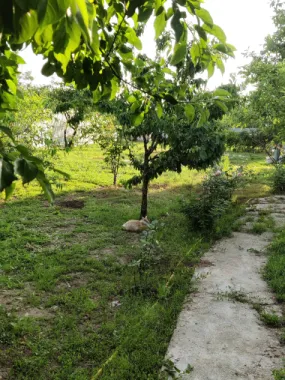 Descriere Super ofertă Doar luna iulie!!!  Casă 3 camere ,bucatarie + 1000 mp teren | Singureni Stejaru | 27 km de București Se vinde casă bătrâneasc