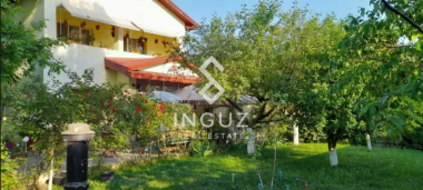 Logo Inguz International logo