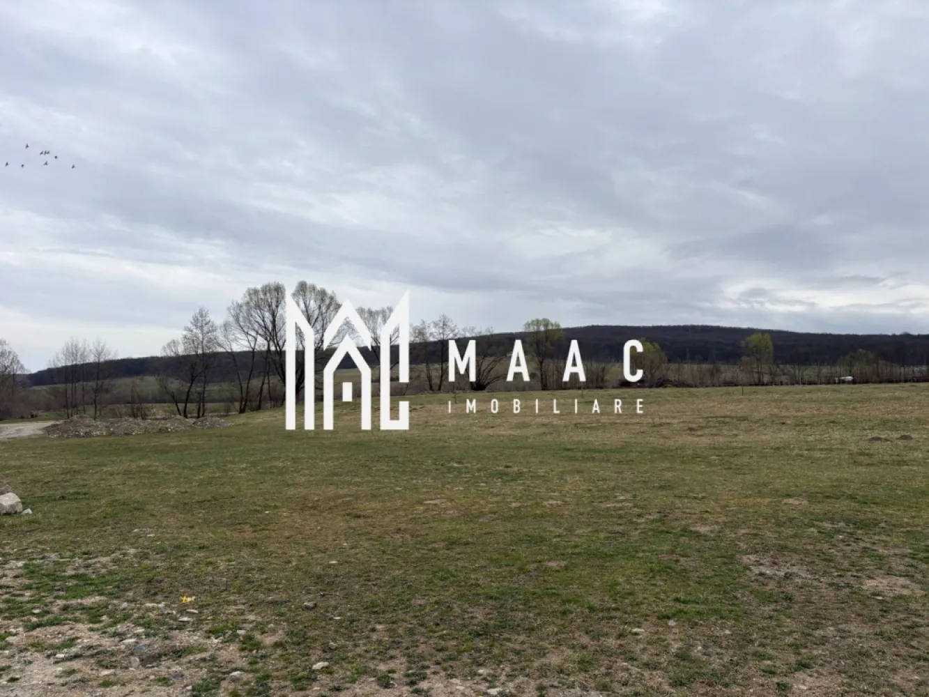 Teren intravilan Tocile, 660 mp, deschidere 17 m, utilități - MAAC Imobiliare va oferă spre vânzare teren intravilan situat în zona Tocile, pe strada Tocile de Jos, o locație liniștită, ideală pentru construcția unei locuințe.

Suprafața terenului este de 660 mp, cu o deschidere de 17 metri la stradă, oferind multiple posibilități de construire. Terenul beneficiază de o priveliște deosebită către munți, perfectă pentru cei care își doresc liniște, aer curat și peisaje naturale.

Toate utilitățile (apă, curent,canalizare) se află în fața terenului, facilitând racordarea rapidă. Accesul este facil, iar zona este în plină dezvoltare.

Ideal pentru casă de vacanță sau locuință permanentă

Pentru mai multe detalii precizați ca ați văzut anunțul cu ID CP 2987592