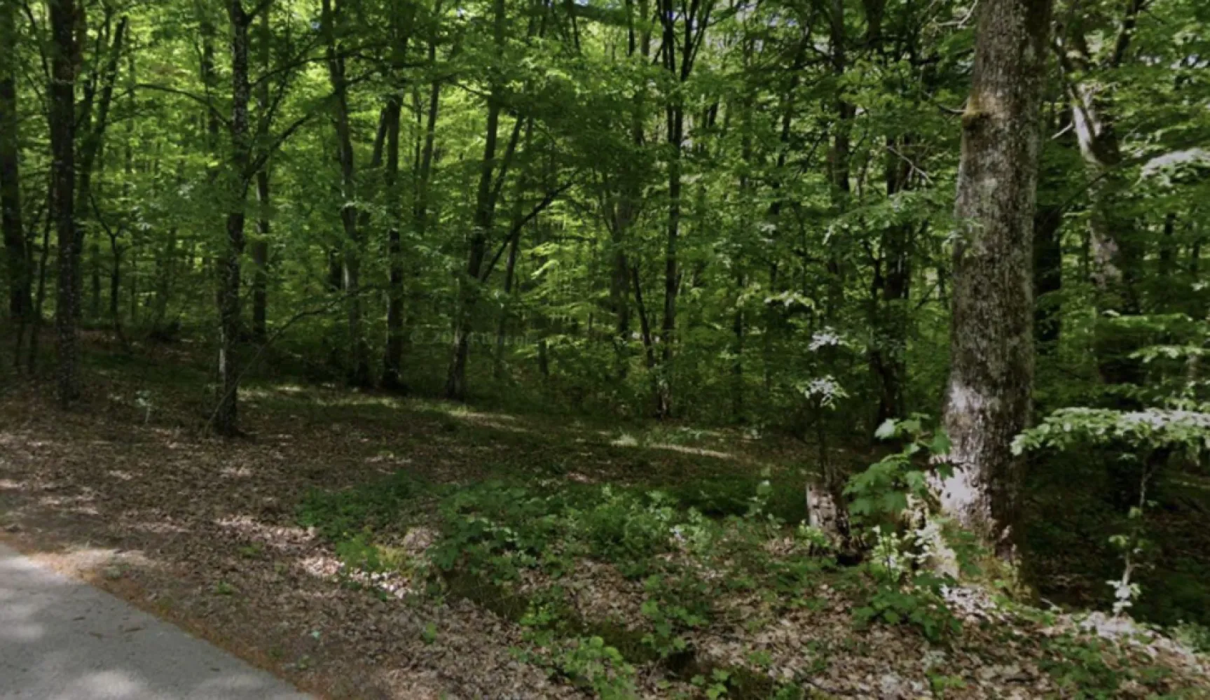 Teren extravilan, livada, Lăzăreni. 22 500 E. Comision 0 - De vânzare: teren extravilan, Lăzăreni, Bihor, livadă cu pruni, 4 480 mp. 22 500 E Comision 0.

Terenul este situat la marginea pădurii, formă dreptunghi, având o ușoară pantă ceea ce îi oferă o priveliște deosebită asupra dealurilor din jur. Are acces auto din drumul asfaltat si este asigurată alimentarea cu energie electrică. Terenul este partial împrejmuit fiind amenajat ca livadă cu pruuni. Acte în regulă, la zi.