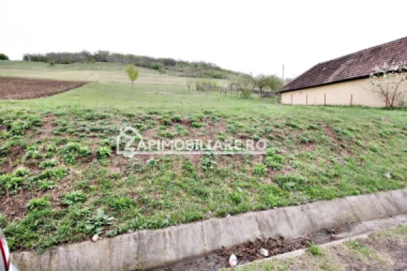 Teren 3200 mp, intravilan, Targu Mures, 0% comision