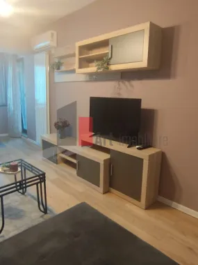 Inchiriere apartament 2 camere Novum Invest Grozavesti-Pet Friendly
