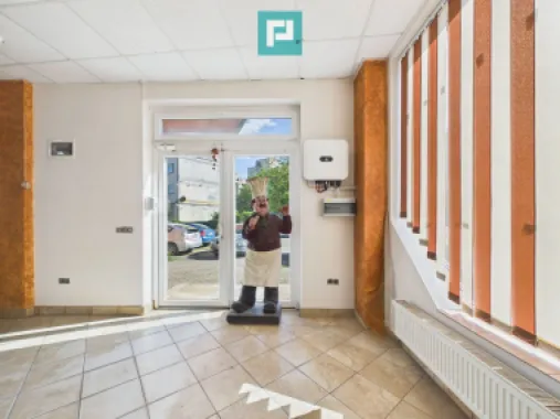Centru comercial P+1 de închiriat, zona Vlaicu
