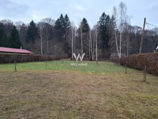 Teren deosebit pozitionat, cu livada, langa padure, pe Valea Avrigului