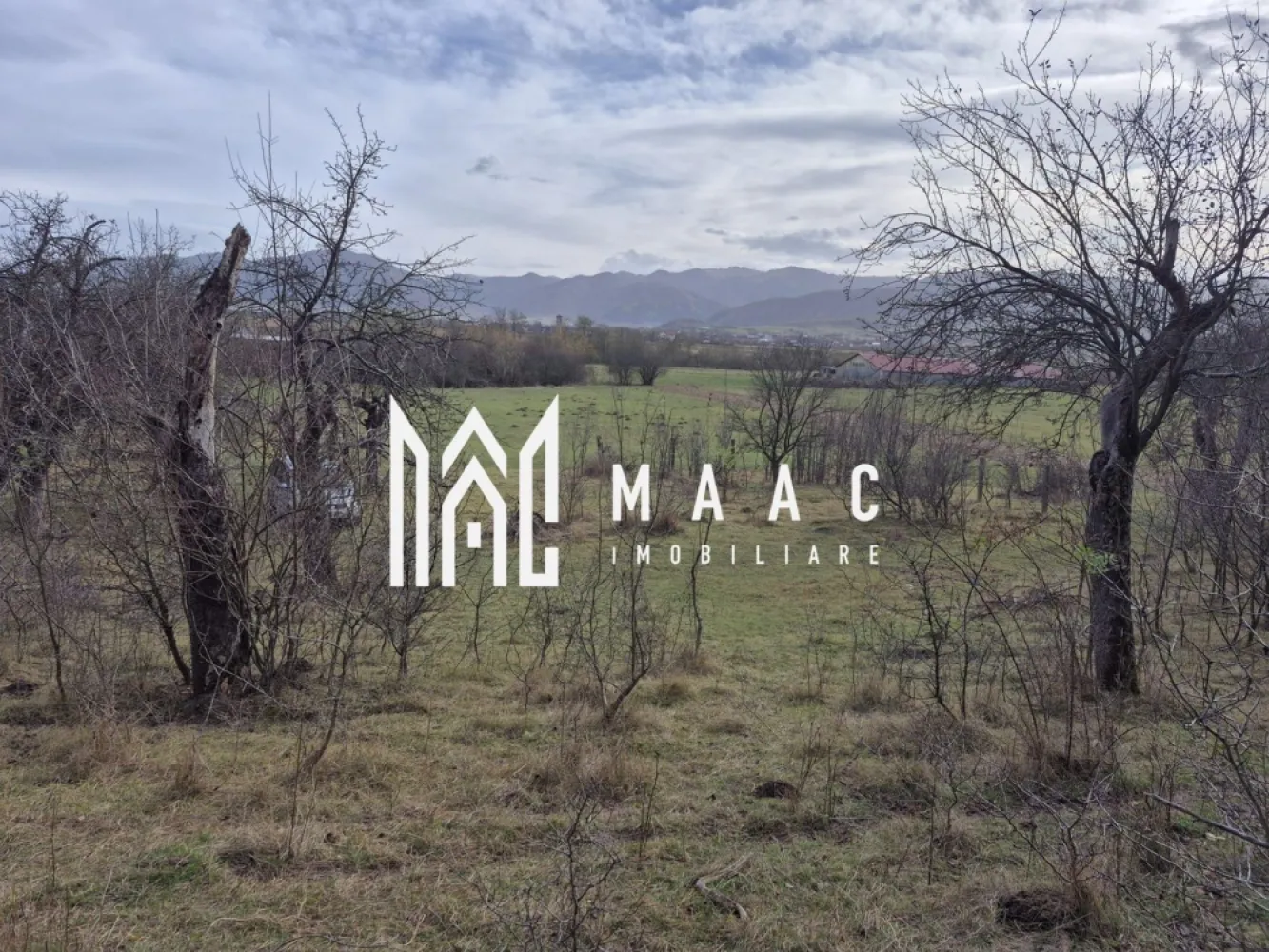 Teren de vanzare | Orlat | Extravilan - Maac imobiliare vă propune spre vânzare un teren de 2800 mp, situat în comuna Orlat, un loc cunoscut pentru peisajele sale spectaculoase și liniștea specifică zonei de munte. Proprietatea se remarcă prin vederi superbe spre împrejurimi, fiind alegerea ideală pentru cei care caută un spațiu generos, cu potențial ridicat de dezvoltare sau pentru o investiție pe termen lung. Terenul este împrejmuit cu stâlpi amplasați din 3 în 3 metri, delimitând clar suprafața și oferind un plus de siguranță și organizare pentru viitorul proprietar. Un avantaj rar întâlnit este prezența unui izvor cu apă potabilă pe teren, reprezentând o resursă naturală deosebit de valoroasă, ideală pentru consum, activități gospodărești sau pentru eventuale proiecte turistice ori de agrement. Pentru mai multe detalii sau programarea unei vizionari, va invitam sa contactati Maac imobiliare: CP2818104