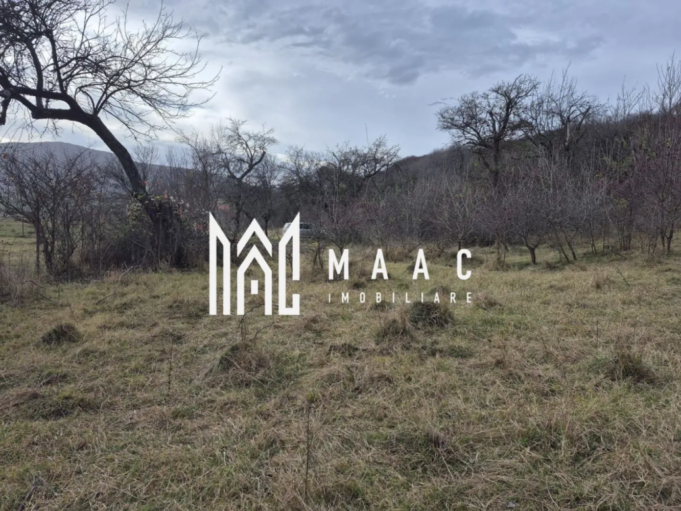 Teren de vanzare | Orlat | Extravilan - Maac imobiliare vă propune spre vânzare un teren de 2800 mp, situat în comuna Orlat, un loc cunoscut pentru peisajele sale spectaculoase și liniștea specifică zonei de munte. Proprietatea se remarcă prin vederi superbe spre împrejurimi, fiind alegerea ideală pentru cei care caută un spațiu generos, cu potențial ridicat de dezvoltare sau pentru o investiție pe termen lung. Terenul este împrejmuit cu stâlpi amplasați din 3 în 3 metri, delimitând clar suprafața și oferind un plus de siguranță și organizare pentru viitorul proprietar. Un avantaj rar întâlnit este prezența unui izvor cu apă potabilă pe teren, reprezentând o resursă naturală deosebit de valoroasă, ideală pentru consum, activități gospodărești sau pentru eventuale proiecte turistice ori de agrement. Pentru mai multe detalii sau programarea unei vizionari, va invitam sa contactati Maac imobiliare: CP2818104
