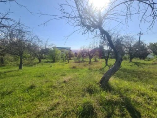 Teren de vanzare in Campina