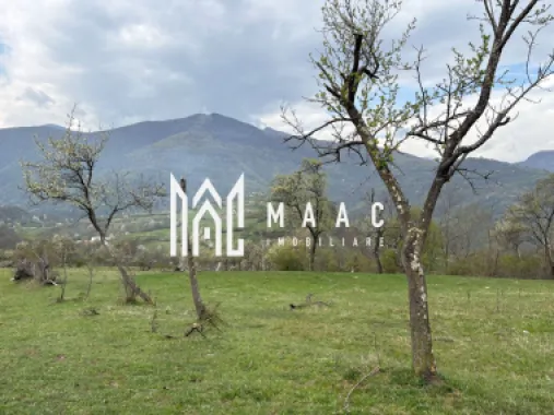 Teren de vânzare, 7750 mp I Orientare sudică I Caineni