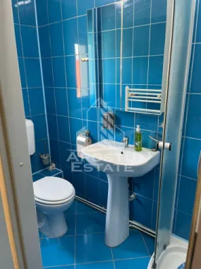 Apartament cu 1 camera de inchiriat, zona Aradului, Timisoara
