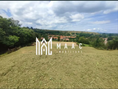 Teren intravilan | 3860 mp în Sărata | Ideal Pensiune sau Resort