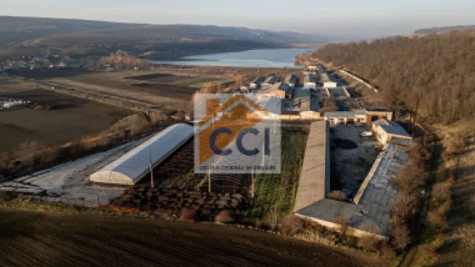 Logo Cosmin Chiribau Imobiliare logo