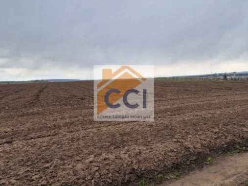Teren 10,000mp Bacau / Strada Alexandru Safran