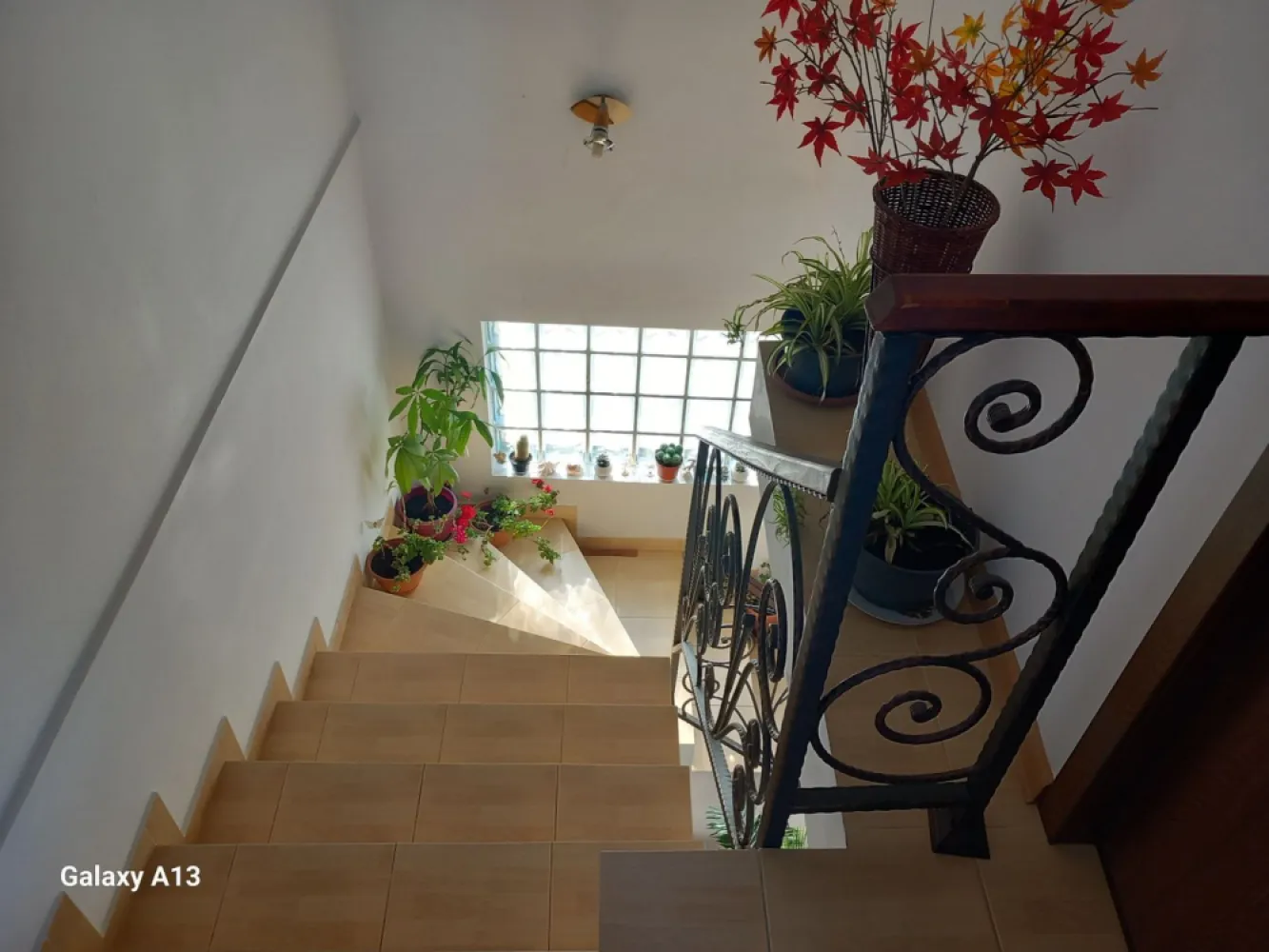 Ag BRASADAS vinde casa individuala 5 cam orasul PANTELIMON. - Agenția BRASADAS vinde casa individuala cu 5 camere, 4 dormitoare, bucatarie inchisa, 2 bai, 2 terase, balcon si 2 locuri de parcare situata în orașul PANTELIMON, construita in 2015. 

Terenul aferent este în suprafață de 262mp. suprafață utilă a casei este de 110mp, cea construita este 123mp, iar amprenta la sol 65mp.

În apropiere la 5 minute pe jos este statie 

Pentru mai multe oferte accesați www.brasadas.com.