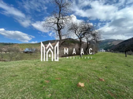 Logo MAAC IMOBILIARE logo