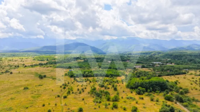 Teren extravilan de vânzare - Valea Avrigului, Sibiu