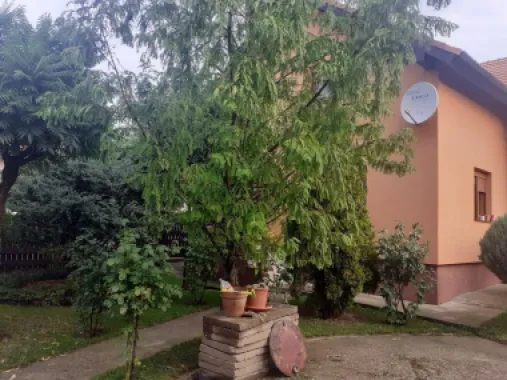 BRASADAS vinde casa cu 6 camere si teren 1200mp în Amati.