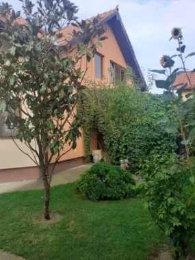 BRASADAS vinde casa cu 6 camere si teren 1200mp în Amati.