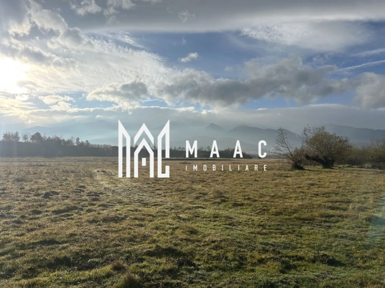 Teren cu potențial turistic I Cârțișoara I 3000 MP - MAAC Imobiliare vă propune spre vânzare un teren de 3.000 mp, situat într-o zonă deosebit de frumoasă din Cârțișoara, cu ieșire directă la râu și dublu acces auto – un avantaj rar întâlnit, care oferă flexibilitate în amenajare și accesibilitate excelentă.

 Caracteristici teren:
Suprafață totală: 3.000 mp
Acces dublu pe proprietate
Ieșire la râu – locație pitorească, ideală pentru relaxare și turism

Utilități în apropiere

Teren plan, ușor de parcelat și amenajat

 Avantaj major:
Datorită poziționării sale strategice și peisajului natural spectaculos, terenul este pretabil pentru dezvoltări turistice – precum cabane de vacanță, pensiuni sau case de oaspeți.

 Priveliștea către Munții Făgăraș și liniștea zonei transformă această proprietate într-o investiție cu potențial excelent pe termen lung.

Pentru mai multe detalii și vizionări, precizati telefonic ca ati vazut anuntul cu ID: CP2807228