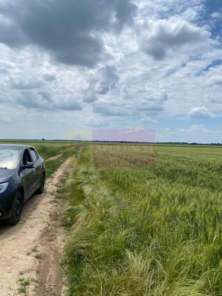 9,4 ha teren lângă DEx12 Pitești | 2,85 €/mp | loturi sau pachet