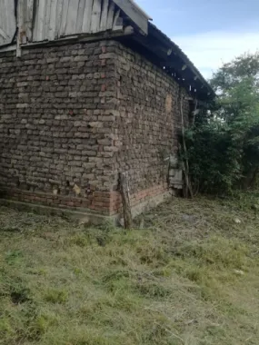 Ag BRASADAS vinde casa LOCUIBILA 3 cam teren 5.000 mp HOREA.