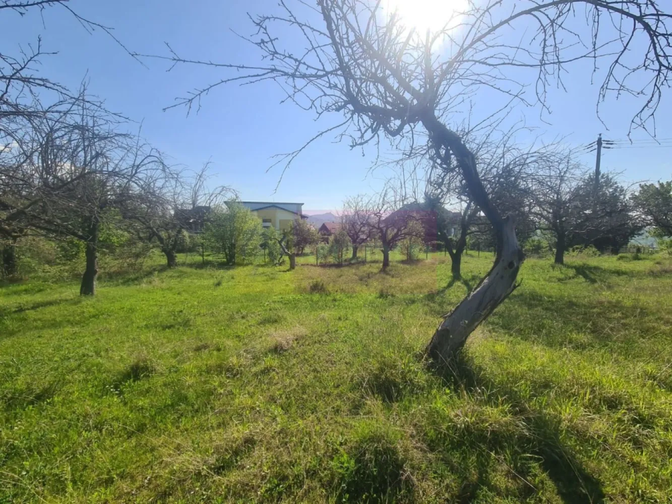 Teren de vanzare in Campina in zona retrasa - Agentia imobiliara Mervani va prezinta teren intravilan de vanzare, situat in zona semicentrala a Municipiului Campina, in cartierul Voila.

Terenul are o suprafata de 2500 mp, cu o mica inclinatie.

Propietatea beneficiaza de doua fronturi stradale (avand deschidere la doua drumuri) de 14.66 ml, respectiv de 14.48 ml si exista posibilitatea dezmembrarii in doua loturi de noul cumoparator.

Terenul are o priveliste deosebita.

Utilitati la limita de hotar:
- Apa
- Canalizare
- Curent
- Gaz
- Internet si CATV

Drum asfaltat
Zona specifica imobilelor de vacanta.