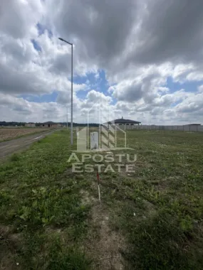 Logo Apostu Estate logo