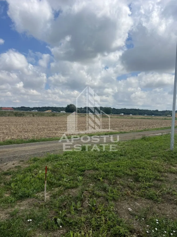 Teren Ghiroda cartier Bistra - toate utilitatile - Apostu Estate va propune spre vanzare o parcela de teren in suprafata de 608 mp, pe colt cu 2 Fronturi Stradale, cu toate utilitatile in fata parcelei (apa, canal, gaz, curent, iluminat stradal, cutii de bransament gaz si curent), strada pietruita, in apropierea noului campus universitar al Universitatii de Medicina - zona Bistra.
