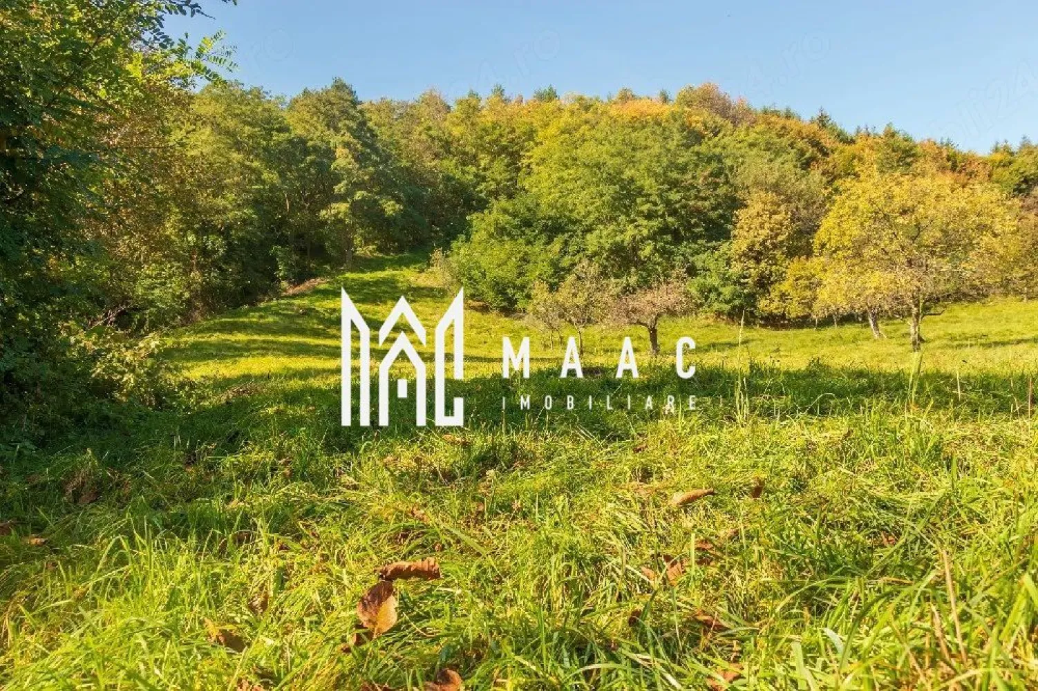 Teren | Intravilan | 2439 MPU | Fântânele - MAAC Imobiliare vă propune spre vânzare un teren intravilan în suprafață de 2439 mp, situat în Fântânele, Sibiu, într-o zonă liniștită, aproape de sat și de pădure.

Proprietatea se remarcă prin cadrul natural deosebit și poziționarea excelentă, fiind ideală pentru construcția unei locuințe permanente sau a unei case de vacanță.

Detalii teren:
 • suprafață totală: 2439 mp
 • teren aproximativ 75% drept, ideal pentru construcție
 • diferență ușoară de nivel în partea superioară, cu deschidere spre liziera pădurii
 • oferă priveliște și intimitate
 • amplasat la marginea zonei locuite

Cadru natural și avantaje:
 • vecinătate directă cu pădurea
 • zonă aerisită, liniștită, fără aglomerație
 • ideal pentru relaxare și locuire în natură
 • fir natural de apă pentru drenaj (avantaj pentru scurgerea apei)

Acces:
 • deschidere la drum conform hărții cadastrale
 • acces pe drum natural (neamenajat în prezent)

Utilități:
 • curent, gaz și canalizare la aproximativ 500 m

Acte:
 • carte funciară
 • liber de sarcini

Pentru mai multe detalii sau pentru programarea unei vizionări, vă rugăm să ne contactați și să menționați ID: CP3033599