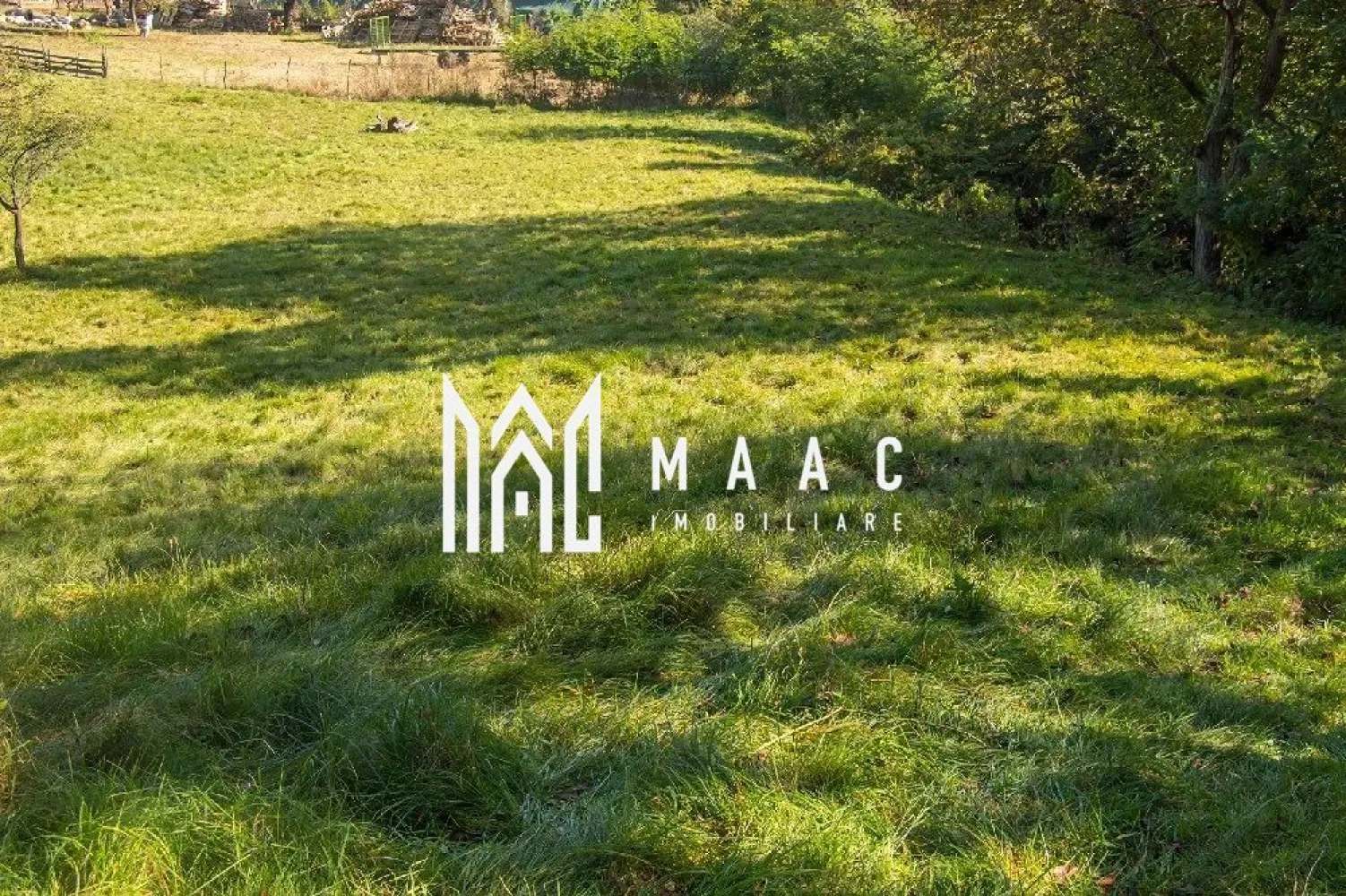 Teren | Intravilan | 2439 MPU | Fântânele - MAAC Imobiliare vă propune spre vânzare un teren intravilan în suprafață de 2439 mp, situat în Fântânele, Sibiu, într-o zonă liniștită, aproape de sat și de pădure.

Proprietatea se remarcă prin cadrul natural deosebit și poziționarea excelentă, fiind ideală pentru construcția unei locuințe permanente sau a unei case de vacanță.

Detalii teren:
 • suprafață totală: 2439 mp
 • teren aproximativ 75% drept, ideal pentru construcție
 • diferență ușoară de nivel în partea superioară, cu deschidere spre liziera pădurii
 • oferă priveliște și intimitate
 • amplasat la marginea zonei locuite

Cadru natural și avantaje:
 • vecinătate directă cu pădurea
 • zonă aerisită, liniștită, fără aglomerație
 • ideal pentru relaxare și locuire în natură
 • fir natural de apă pentru drenaj (avantaj pentru scurgerea apei)

Acces:
 • deschidere la drum conform hărții cadastrale
 • acces pe drum natural (neamenajat în prezent)

Utilități:
 • curent, gaz și canalizare la aproximativ 500 m

Acte:
 • carte funciară
 • liber de sarcini

Pentru mai multe detalii sau pentru programarea unei vizionări, vă rugăm să ne contactați și să menționați ID: CP3033599