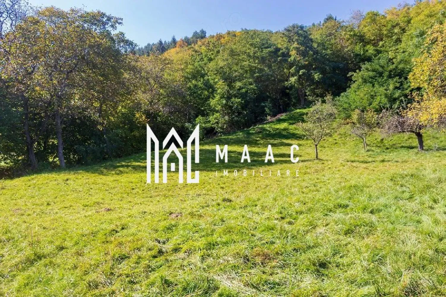 Teren | Intravilan | 2439 MPU | Fântânele - MAAC Imobiliare vă propune spre vânzare un teren intravilan în suprafață de 2439 mp, situat în Fântânele, Sibiu, într-o zonă liniștită, aproape de sat și de pădure.

Proprietatea se remarcă prin cadrul natural deosebit și poziționarea excelentă, fiind ideală pentru construcția unei locuințe permanente sau a unei case de vacanță.

Detalii teren:
 • suprafață totală: 2439 mp
 • teren aproximativ 75% drept, ideal pentru construcție
 • diferență ușoară de nivel în partea superioară, cu deschidere spre liziera pădurii
 • oferă priveliște și intimitate
 • amplasat la marginea zonei locuite

Cadru natural și avantaje:
 • vecinătate directă cu pădurea
 • zonă aerisită, liniștită, fără aglomerație
 • ideal pentru relaxare și locuire în natură
 • fir natural de apă pentru drenaj (avantaj pentru scurgerea apei)

Acces:
 • deschidere la drum conform hărții cadastrale
 • acces pe drum natural (neamenajat în prezent)

Utilități:
 • curent, gaz și canalizare la aproximativ 500 m

Acte:
 • carte funciară
 • liber de sarcini

Pentru mai multe detalii sau pentru programarea unei vizionări, vă rugăm să ne contactați și să menționați ID: CP3033599
