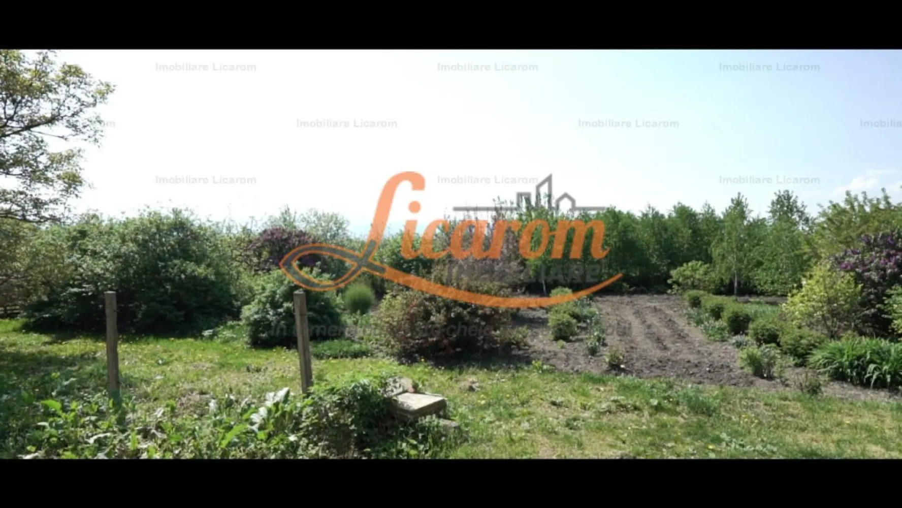 Oferta Conac boieresc P+M,teren 20400 mp - Agentia Licarom Imobiliare ofera spre vanzare o proprietate cu iz boieresc, materializata intr-o casa construita in anul 1873, cu anexe si dependinte si cu un teren in suprafata de 20400 mp. Casa, dispusa pe P+M, pastreaza amprenta epocii in care a fost construita.
Dispunerea camerelor este pe parterul cladirii, care are o suprafata utila de 272 mp, iar compartimentarea este dupa cum urmeaza:
-la intrare ne intampina un hol generos, de unde se face trecerea in doua parti care pot reprezenta zone distincte ale cladirii- in partea stanga regasim o bucatarie, o baie, un salon in suprafata de 36 mp, un dormitor si un spatiu de depozitare, iar in partea dreapta , avem bucatarie, baie, dormitor, salon cu semineu; o alta incapere care delimiteaza cele doua zone este biblioteca.
Proprietatea dispune si de subsol in suprafata de aproximativ 60 mp, unde s-ar putea amenaja o crama.Mansarda are 272 mp si aici regasim 3 camere, iar restul suprafetei este necompartimentata.
Terenul de 2 ha este trecut in intravilanul Brasovului si ii confera proprietatii plus valoare si datorita faptului ca pamantul de aici este unul foarte fertil, care si-a pastrat calitatile naturale, deoarece nu s-au folosit ingrasaminte chimice.
Constructia este una foarte solida, din caramida, zidurile exterioare avand grosimea de 60 cm, iar peretii interiori de 50 cm.
Incalzirea se face atat cu ajutorul unei centrale pe gaz, cat si a uneia cu lemne.
Cladirea este reprezentativa pentru cartierul Stupini, proprietatea fiind cunoscuta in trecut ca ,, Stupina lui Christof", gasindu-se in acest sens inscrieri la Arhivele Statului.
Ca sa intregim tabloul, nu putem sa nu amintim de privelistea de vis data de muntii Ciucas, Piatra Mare, Postavarul, Bucegi,PiatraCraiului, Iezer Papusasi Fagaras.
Pentru mai multe detalii si informatii nu ezitati sa ne contactati 0741059397 Calin si 0723985424 Liliana