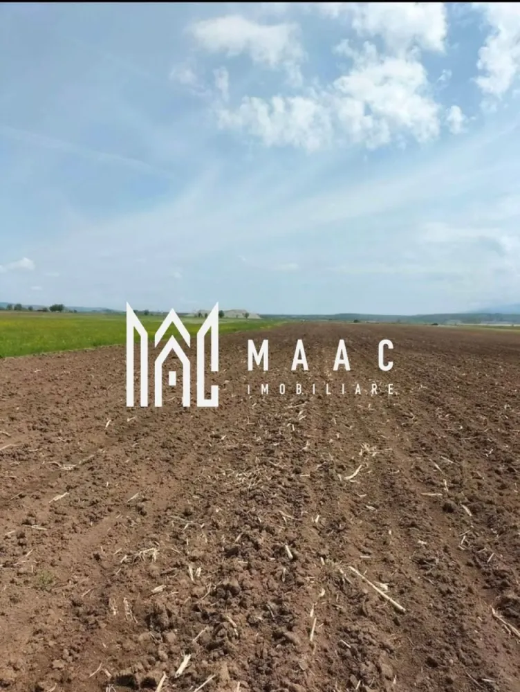 Teren | Extravilan | Oportunitate Investiție | 10 000 MP | Bradu - MAAC Imobiliare vă propune spre vânzare un teren extravilan în suprafață de 10.000 mp, situat în localitatea Bradu, ce reprezintă o oportunitate clară de investiție. 

Terenul este înregistrat în Cartea Funciară ca arabil, fiind amplasat într-un cadru natural liniștit, care se bucură de o vedere panoramică deosebită și o perspectivă directă către munți.

Date tehnice și avantaje:

Suprafață: 10.000 mp (arabil), o suprafață generoasă care permite diverse strategii de investiție pe termen lung.

Front stradal: Proprietatea beneficiază de o deschidere de 25 de metri liniari.

Rețelele de utilități sunt disponibile în proximitate, un aspect esențial pentru viabilitatea terenului.

Poziționarea oferă un mediu aerisit și liniștit, cu o panoramă montană autentică.

Perspective de investiție conform Certificatului de Urbanism:

Acest teren reprezintă o soluție potrivită pentru cei care caută o suprafață mare de teren arabil cu potențial de transformare, într-o zonă care își păstrează caracterul natural.

Pentru vizionări sau mai multe detalii ,contactați-ne și specificați codul de identificare al proprietății ID: CP3035409