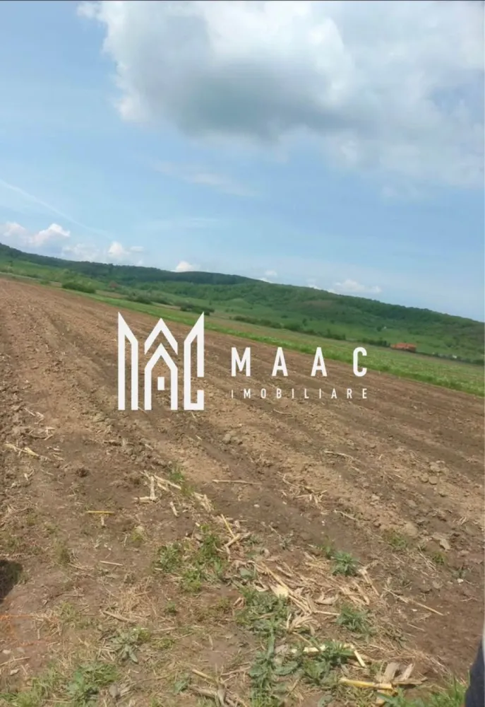 Teren | Extravilan | Oportunitate Investiție | 10 000 MP | Bradu - MAAC Imobiliare vă propune spre vânzare un teren extravilan în suprafață de 10.000 mp, situat în localitatea Bradu, ce reprezintă o oportunitate clară de investiție. 

Terenul este înregistrat în Cartea Funciară ca arabil, fiind amplasat într-un cadru natural liniștit, care se bucură de o vedere panoramică deosebită și o perspectivă directă către munți.

Date tehnice și avantaje:

Suprafață: 10.000 mp (arabil), o suprafață generoasă care permite diverse strategii de investiție pe termen lung.

Front stradal: Proprietatea beneficiază de o deschidere de 25 de metri liniari.

Rețelele de utilități sunt disponibile în proximitate, un aspect esențial pentru viabilitatea terenului.

Poziționarea oferă un mediu aerisit și liniștit, cu o panoramă montană autentică.

Perspective de investiție conform Certificatului de Urbanism:

Acest teren reprezintă o soluție potrivită pentru cei care caută o suprafață mare de teren arabil cu potențial de transformare, într-o zonă care își păstrează caracterul natural.

Pentru vizionări sau mai multe detalii ,contactați-ne și specificați codul de identificare al proprietății ID: CP3035409