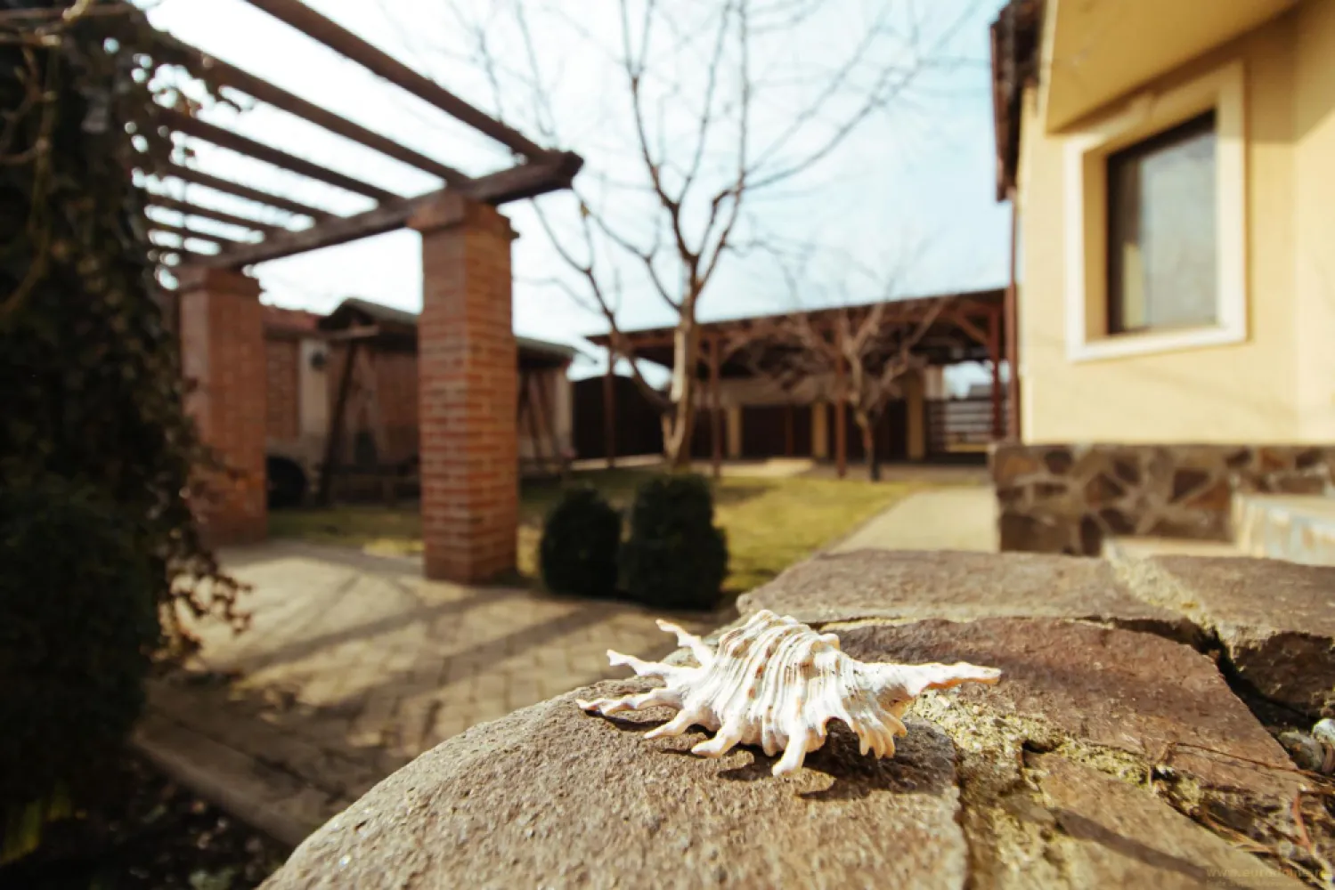 Casa noua, intrare Stupini