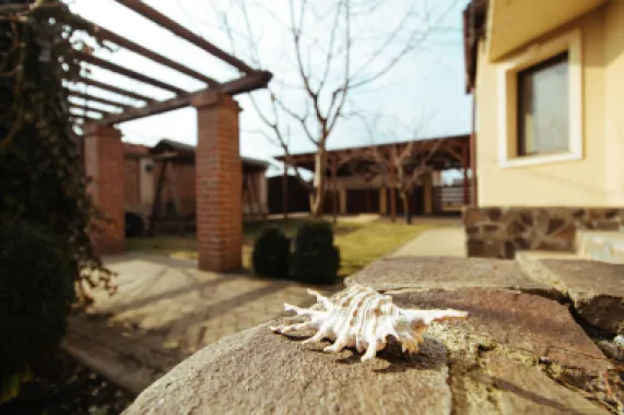 Casa noua, intrare Stupini