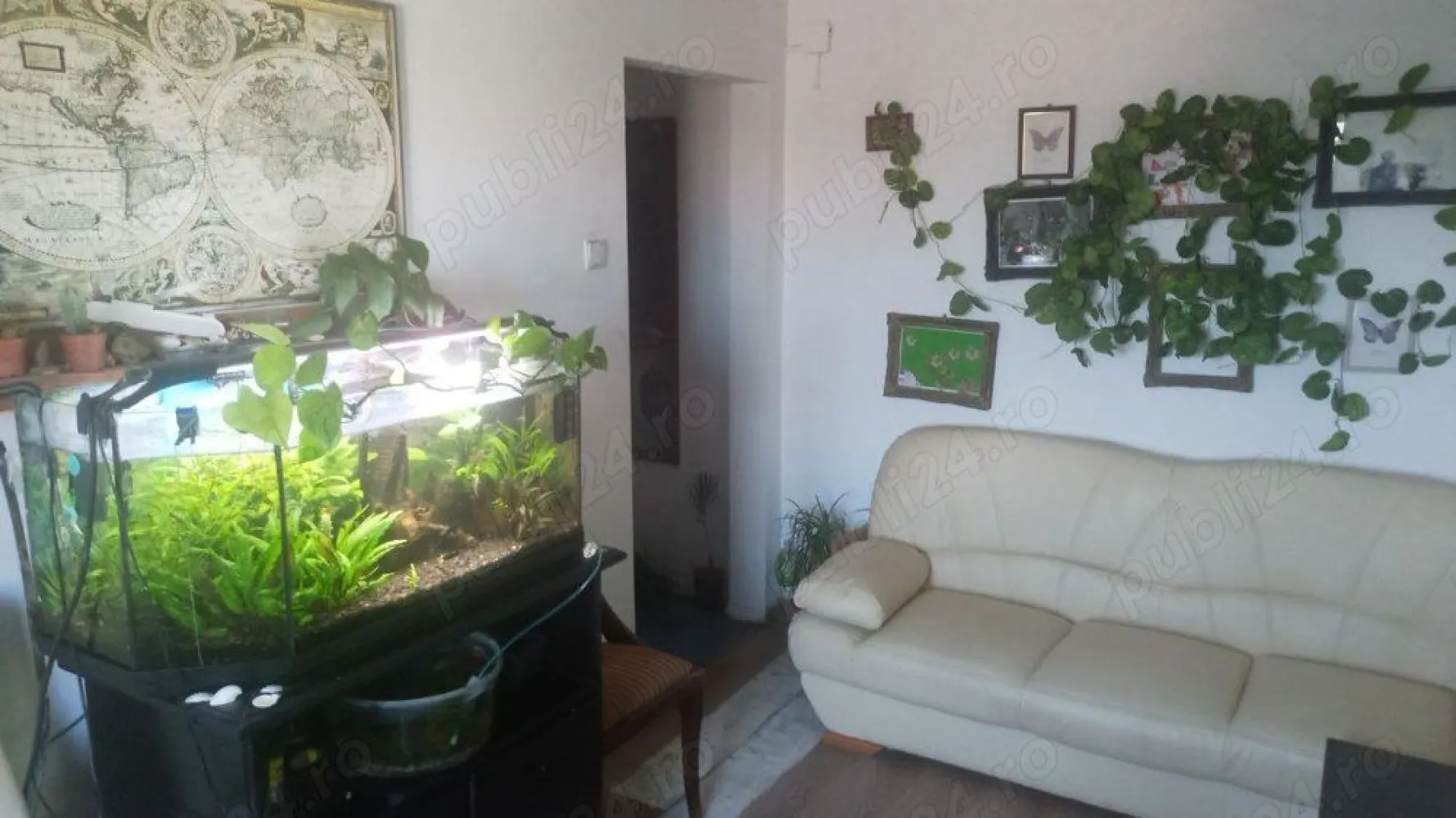BRASADAS vinde ap w cam etaj 4/4 in Micro 14. - Agentia Imobiliara BRASADAS vinde apartament în zona liniștită, pereți izolați, încălzire cu convectoare de gaz, aer condiționat, boiler, ferestre din PVC.
Infrastructură foarte convenabilă - grădiniță și parcarea chiar sub ferestre, la 100 de metri de Penny, 150 de metri de Profi și stațiile de autobuz, școli, farmacii, spital, piață alimentară în apropiere. 7 minute de mers pe jos până la mall și Kaufland. Aproape de centrul nou. Zonă verde, cu locuri de joacă pentru copii și vecini buni.