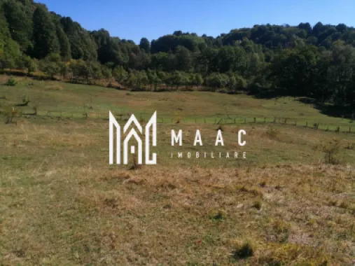 Teren Extravilan 20.000Mp I Stoenești -Vâlcea I Apă Curentă și Pădure