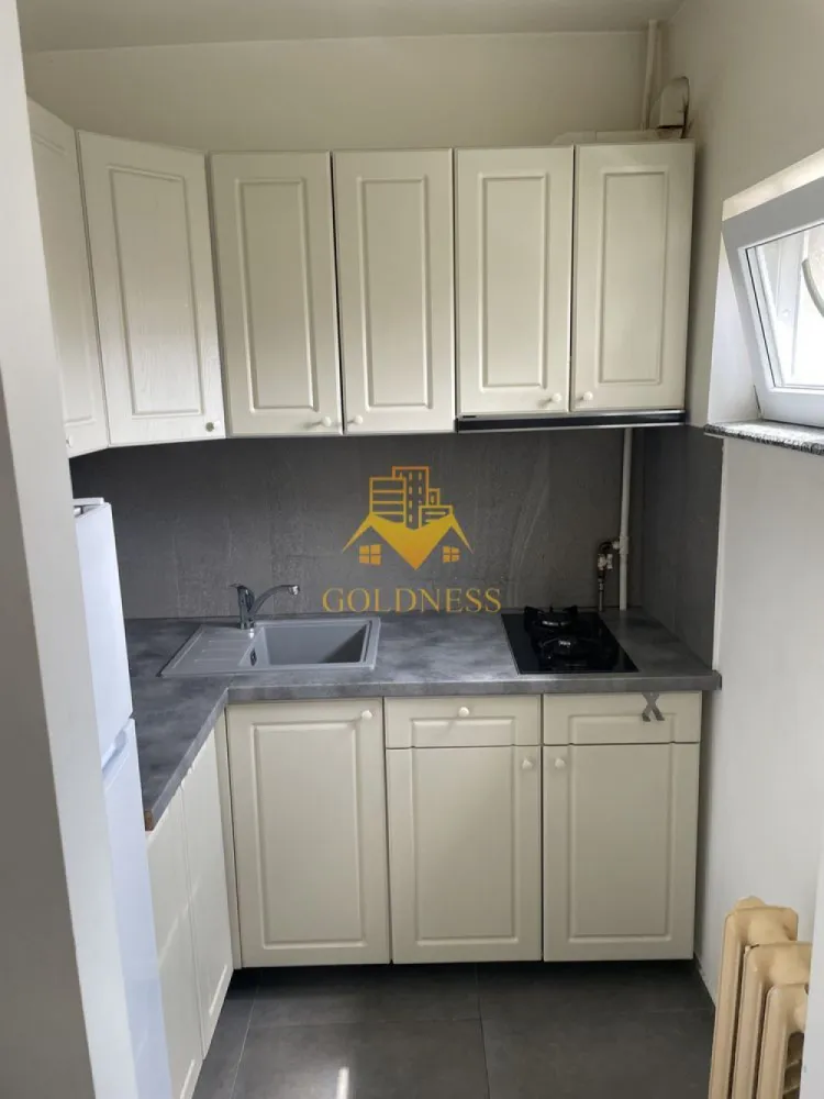 1 camera, Marasti, Expo Transilvania, FSEGA, Aurel Vlaicu, Kaufland - GOLDNESS Imobiliare vă propune spre închiriere un apartament cu 1 camere complet mobilat și utilat, la etajul 1 într-un imobil de 4 etaje, în Cartierul Marasti.
Se află în apropierea stațiilor de transport în comun, magazine, restaurante, spații verzi, farmacii, etc. 

Apartamentul este compartimentat astfel:
 - camera cu pat matrimonial, dressing, noptiere
 - bucătărie complet utilată și mobilată, loc de servit masa 
 - baie cu dus walkin, calorifer port prosop și dulap pentru depozitare.

Imobilul este dotat cu toate cele necesare- termoficare, frigider, aragaz, hotă, mașină de spălat haine, etc. 

Dacă sunteți interesați de acest apartament și doriți să îl vizionați, dar și pentru alte oferte nu ezitați să ne contactați telefonic sau prin e-mail. Vă stăm la dispoziție!
Pentru intermediere se percepe un comision de 50% din prețul chiriei!