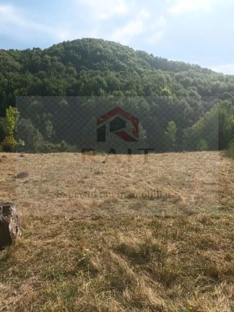 Teren de vanzare Coebeni-Turburea-Arges - Realizarea unui proiect de turism rural, prin transformarea terenului de munte într-o destinație turistică atractivă, cu facilități de camping, trasee de drumeție și activități în aer liber sau dezvoltare agroturistică, evidențiind beneficiile unui stil de viață sănătos și apropierea de natură.