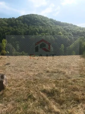 Teren de vanzare Coebeni-Turburea-Arges