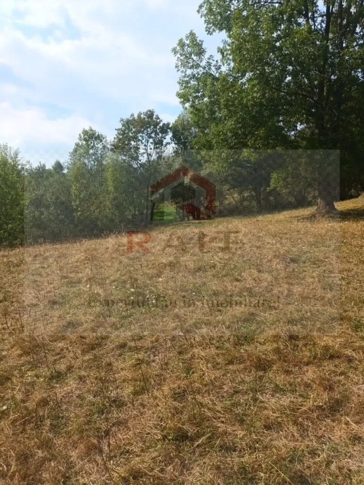 Teren de vanzare Coebeni-Turburea-Arges - Realizarea unui proiect de turism rural, prin transformarea terenului de munte într-o destinație turistică atractivă, cu facilități de camping, trasee de drumeție și activități în aer liber sau dezvoltare agroturistică, evidențiind beneficiile unui stil de viață sănătos și apropierea de natură.