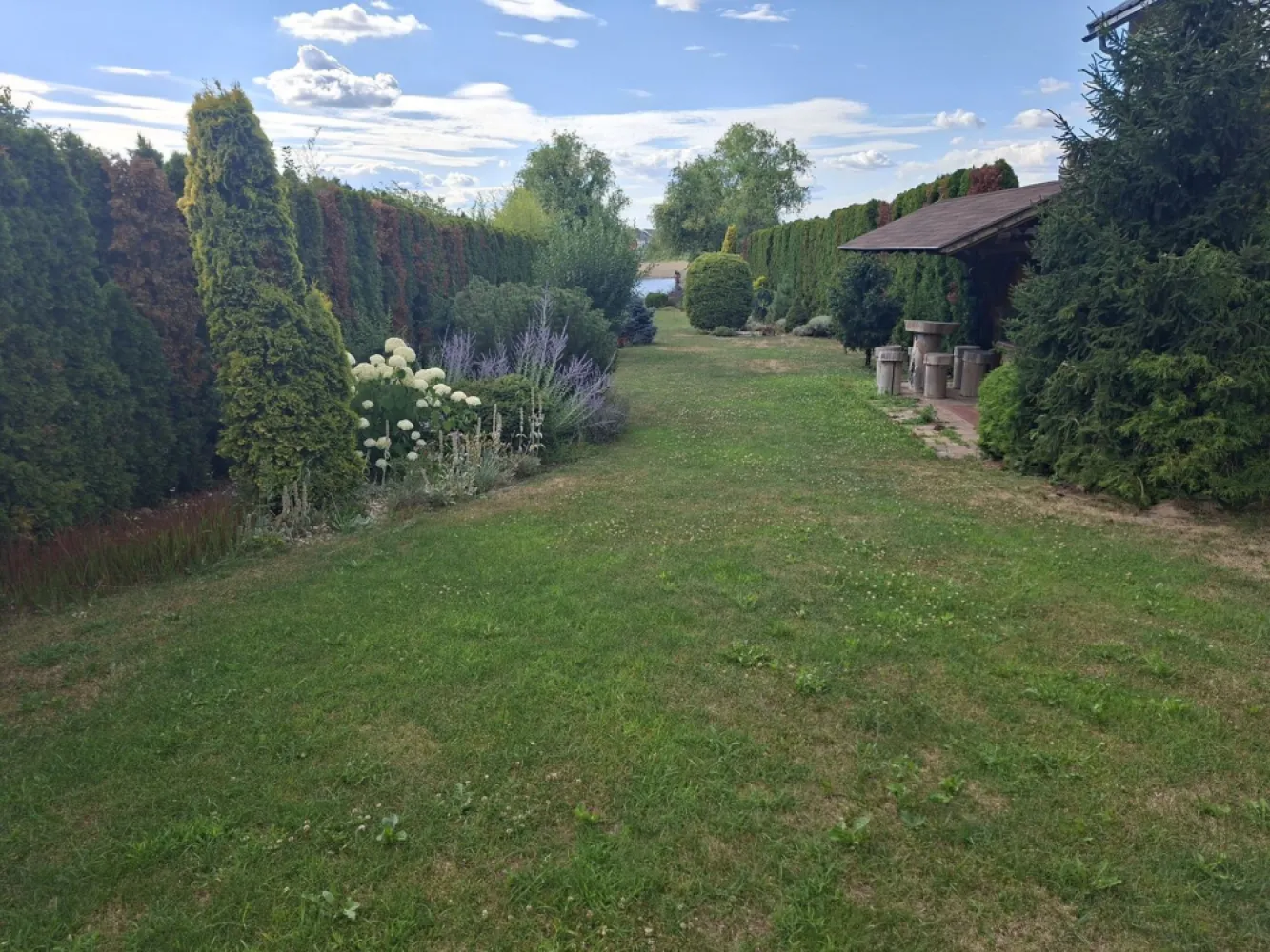 BRASADAS vinde casa cu iesire la lac
