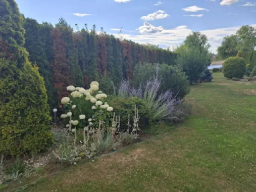 BRASADAS vinde casa cu iesire la lac